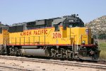 Union Pacific GP60 #2016 on loan to CZRY